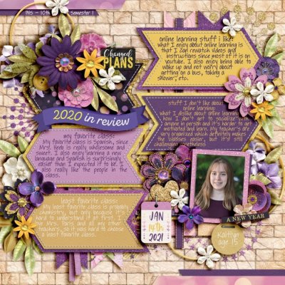 Kaitlyn - Online Learning 10th grade - Sem1