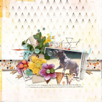 lgrieveson_tnp_scrapstacks11_Tracy