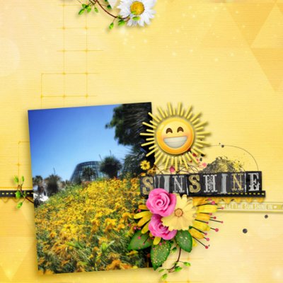 Sunshine25
