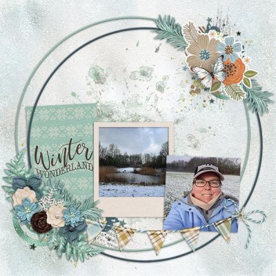 Winter Wonderland