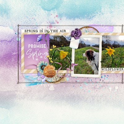 The Promise Of Spring