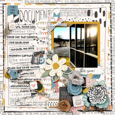 Document