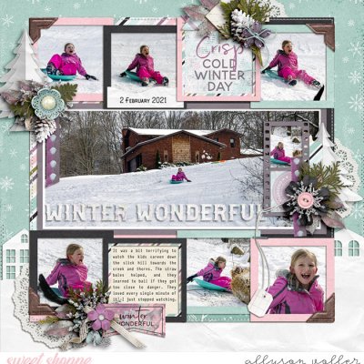 Winter Wonderful