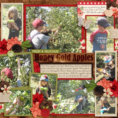 apple picking