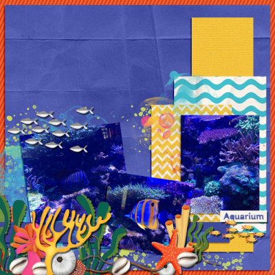 SSD15-_day5