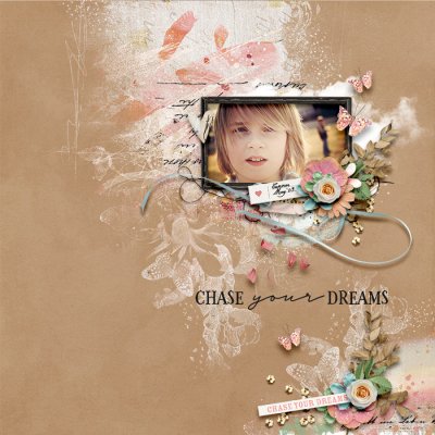 Chase Your Dreams
