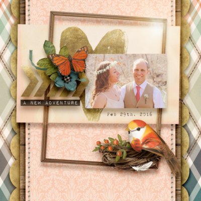 LoveBirds