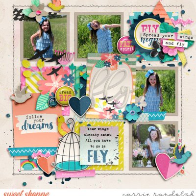 fly