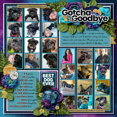 Gotcha to Goodbye