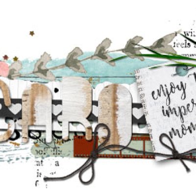 Feb. WildCard Challenge: Siggy