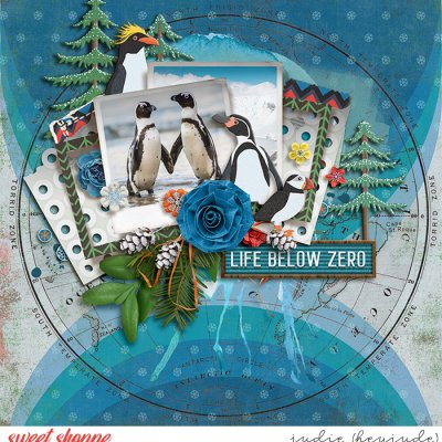 Life Below Zero
