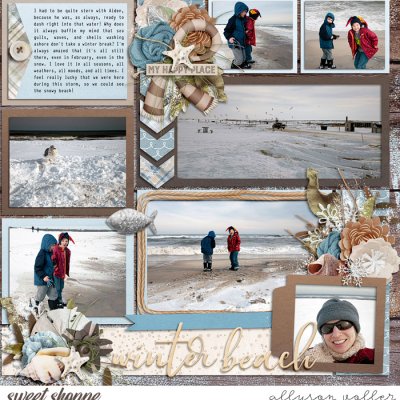 Winter Beach right