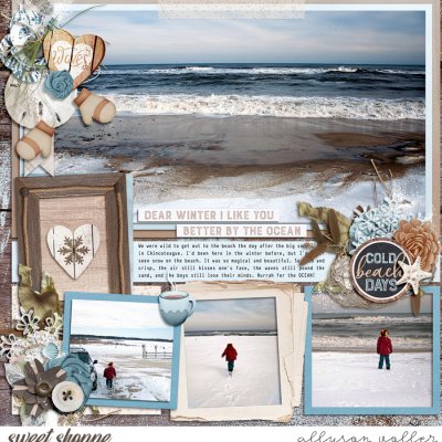 Winter Beach left