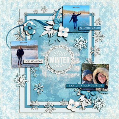 Blue Winter Skies