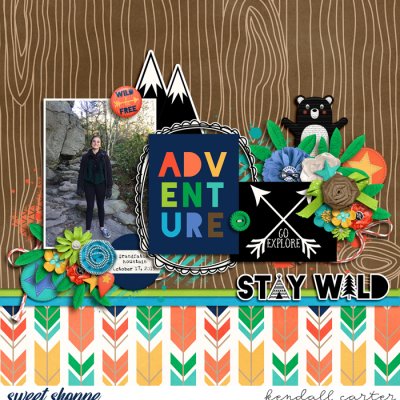 Stay Wild