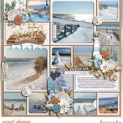 winter beach