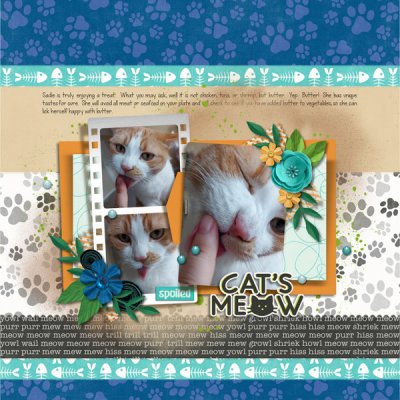 The Cat's Meow