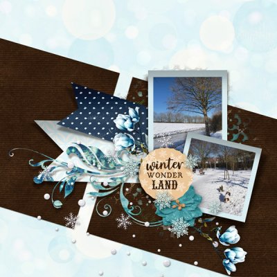 Winter Wonder Land