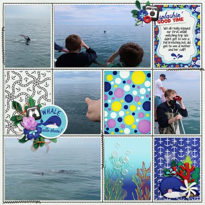 Whale Watching