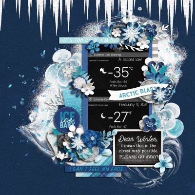 Arctic Blast