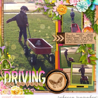 Driving Rupert