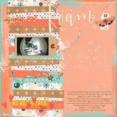 Ring Doorbell Butterfly