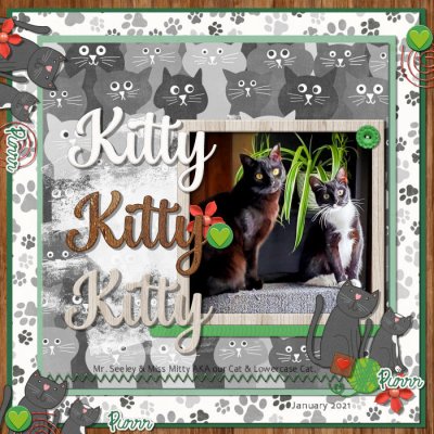 Kitty Kitty Kitty