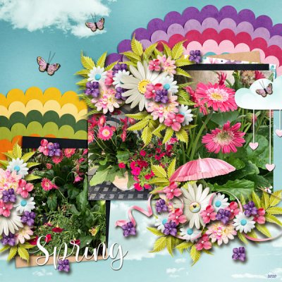 Spring Flowers