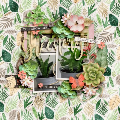 Plant Life
