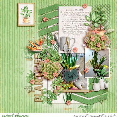 Plantlife