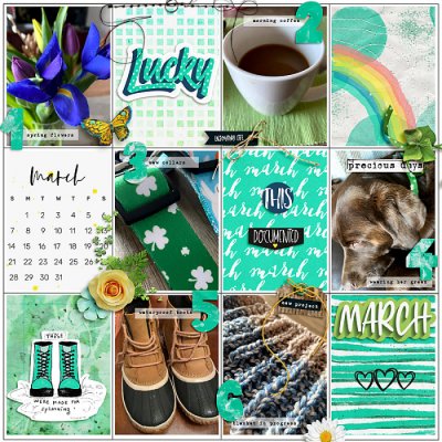 March 2021 Passport to Luck 15: Photo List
