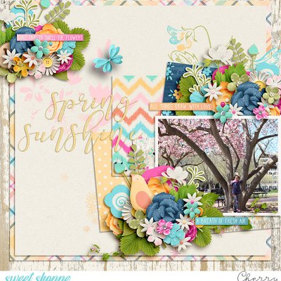 Spring Sunshine