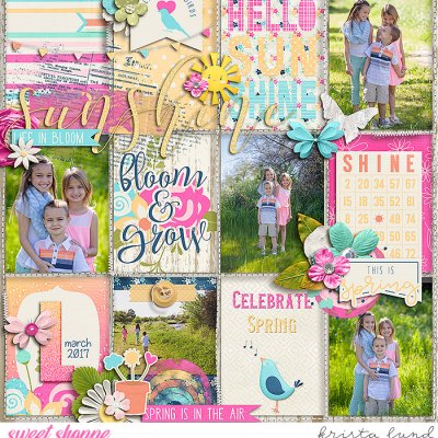 2017 Spring Air
