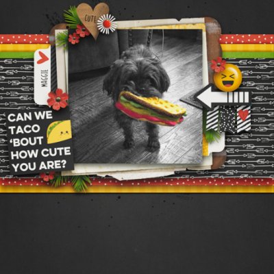TACO_BOUTHOWCUTE