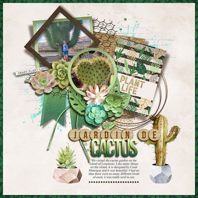 Jardin De Cactus