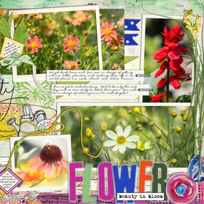 2014 - Week 23 Flowers - p1