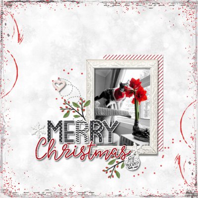 Merry Christmas