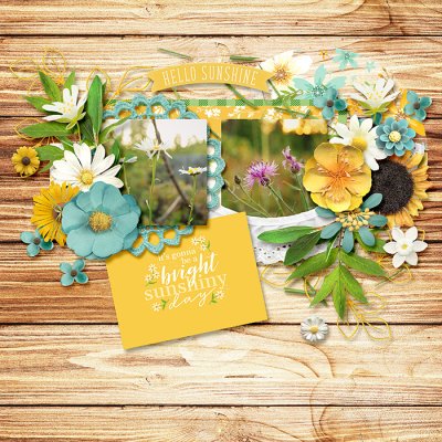 Wild Flowers