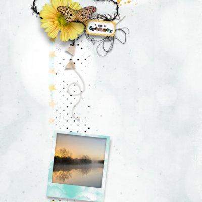 Dreamer15