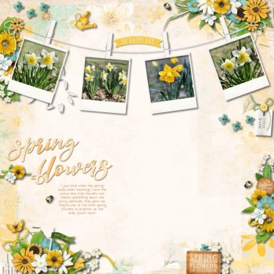 9 - Spring Flowers