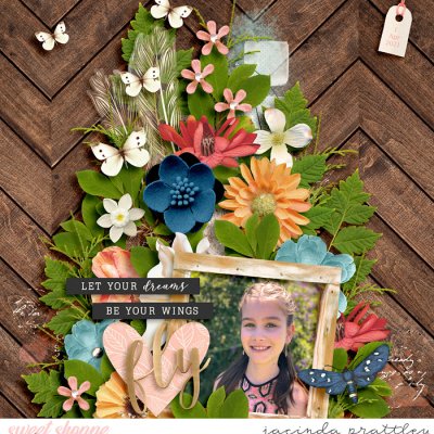 Fly