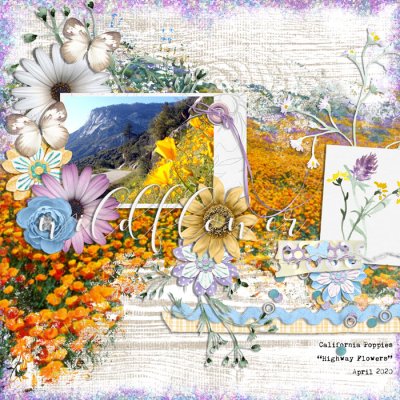 wildflower