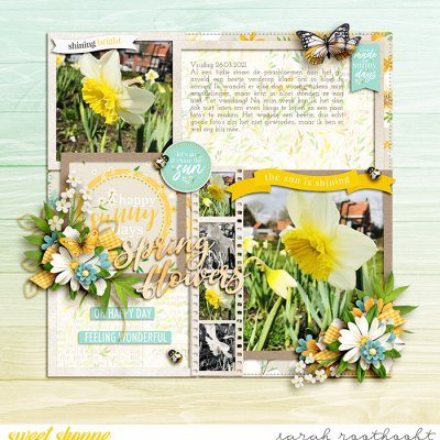 Spring Flowers