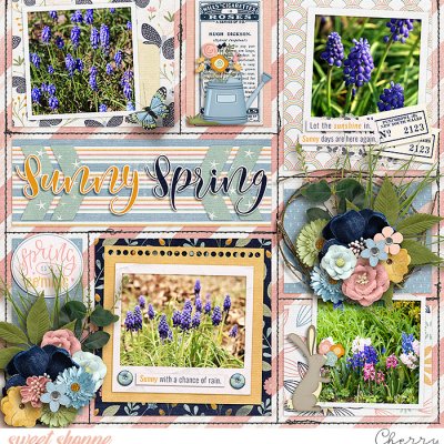 Sunny Spring