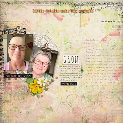 April 2021 Passport to Renewal 7: Photography-Growth
