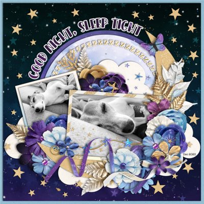 Good Night Sleep Tight