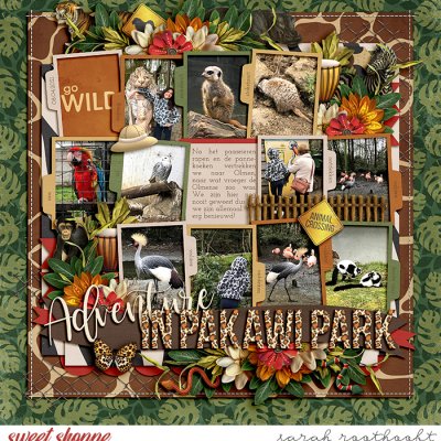 Adventure in Pakawi Park
