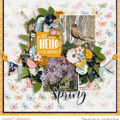 spring