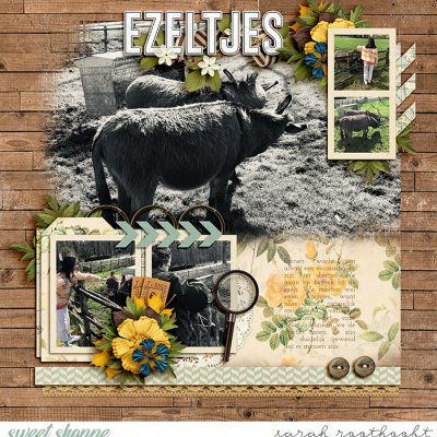 Ezeltjes