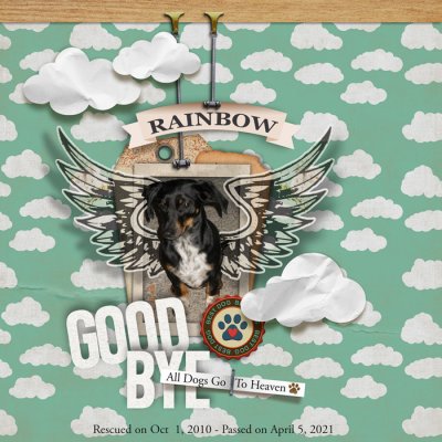 GoodBye-Rainbow